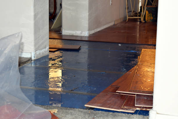 Professional Basement Flood Cleanup technician working in Rossville, KS